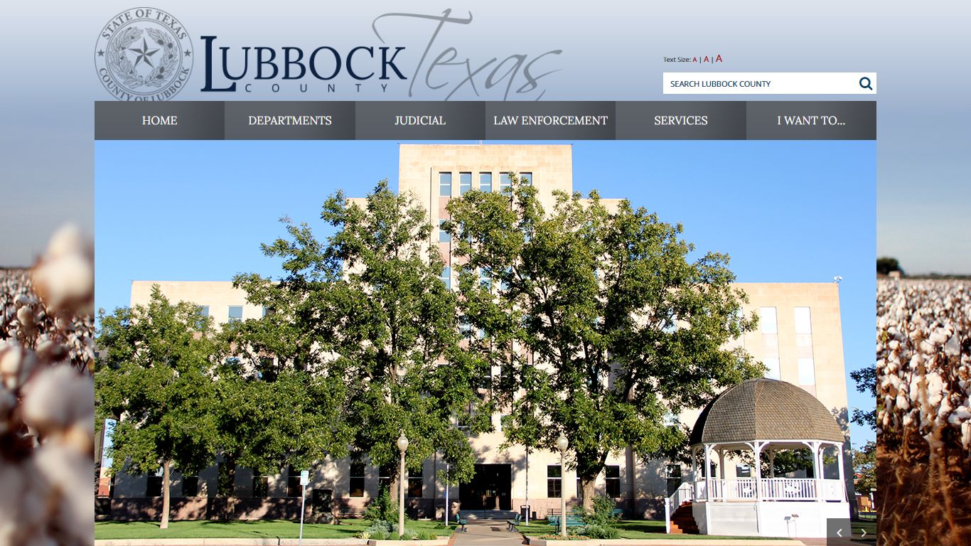 Services Index / Online Access to Court Records / Lubbock ...